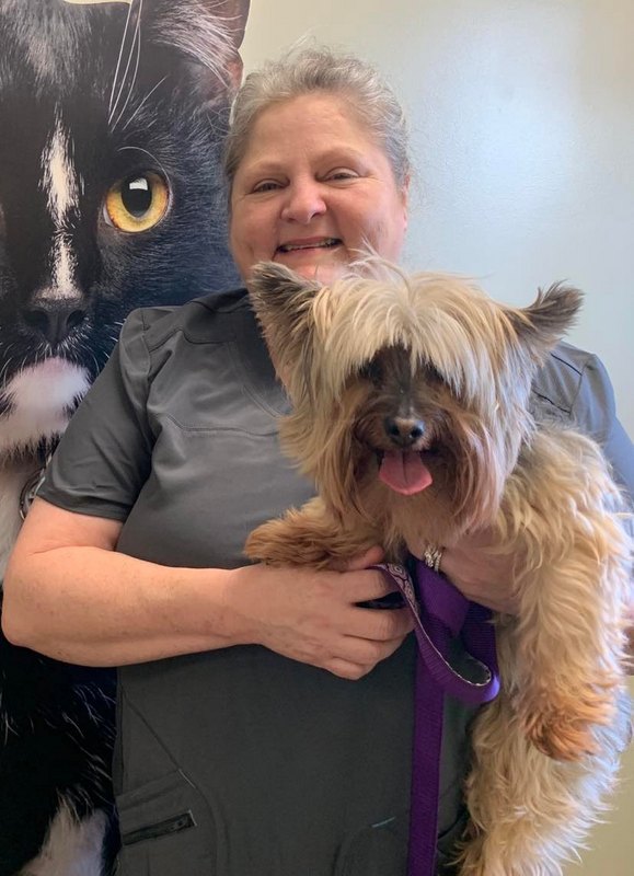 Meet the Care Team at Companion Animal Hospital in Phenix City, AL
